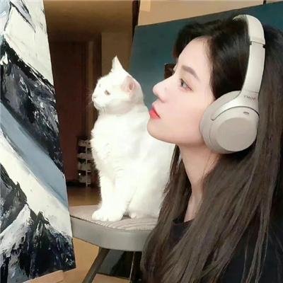 愚蠢天使与恶魔共舞
